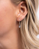 Paparazzi Solo Exhibition - Blue